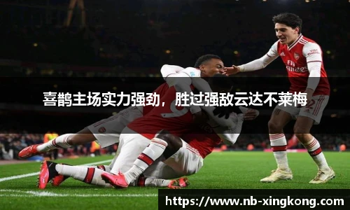 喜鹊主场实力强劲,胜过强敌云达不莱梅