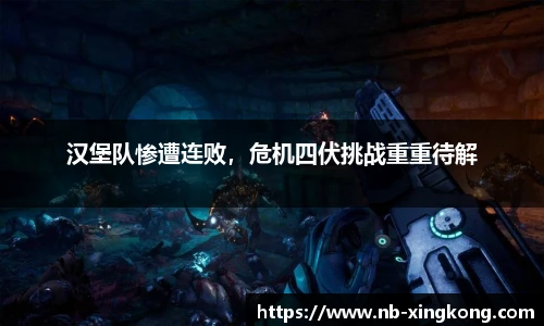 汉堡队惨遭连败,危机四伏挑战重重待解