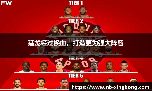 猛龙经过换血，打造更为强大阵容