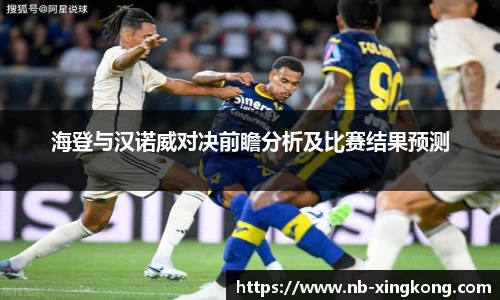 海登与汉诺威对决前瞻分析及比赛结果预测